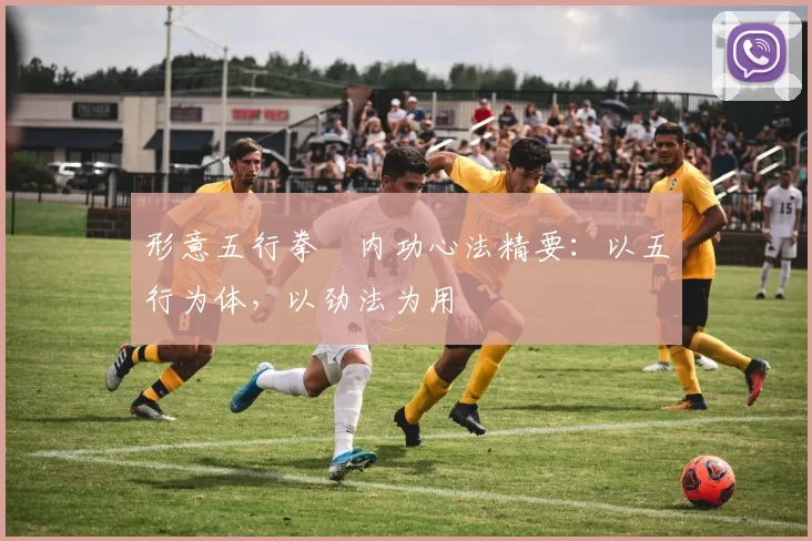 形意五行拳・内功心法精要：以五行为体，以劲法为用