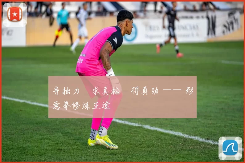 弃拙力・求真松・得真劲 —— 形意拳修炼正途