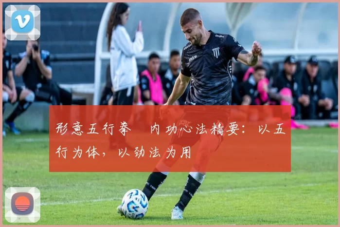 形意五行拳・内功心法精要:以五行为体,以劲法为用