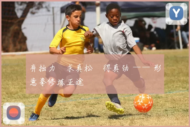 弃拙力・求真松・得真劲 —— 形意拳修炼正途
