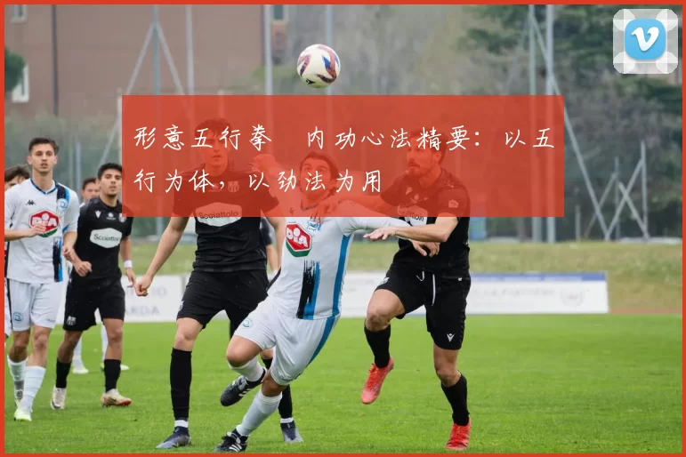 形意五行拳・内功心法精要：以五行为体，以劲法为用