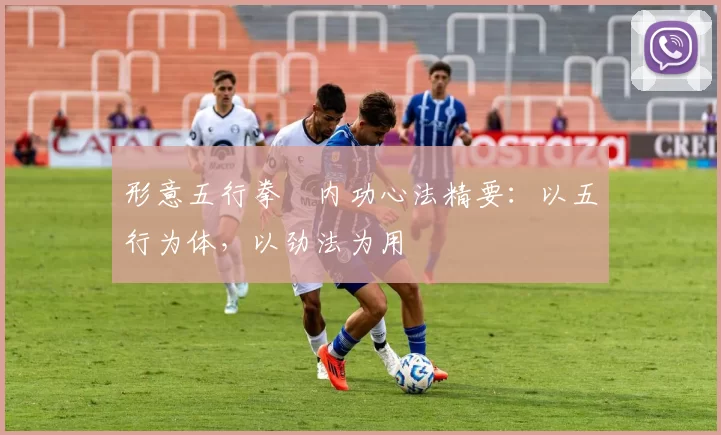 形意五行拳・内功心法精要：以五行为体，以劲法为用