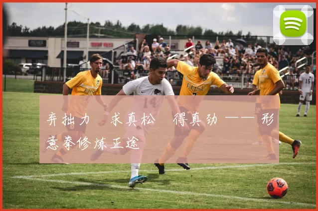 弃拙力・求真松・得真劲 —— 形意拳修炼正途