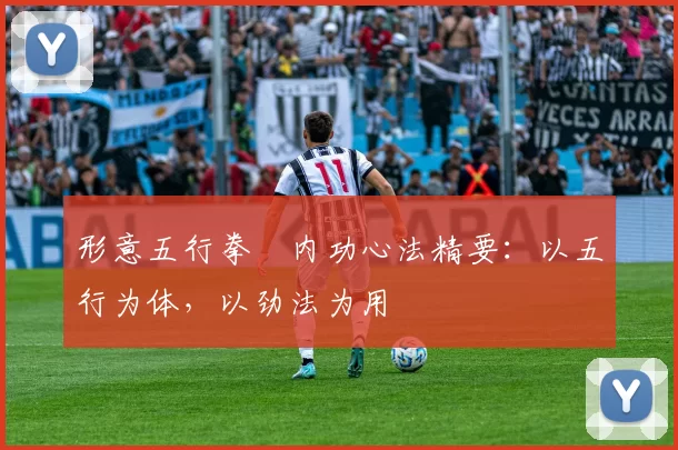 形意五行拳・内功心法精要:以五行为体,以劲法为用