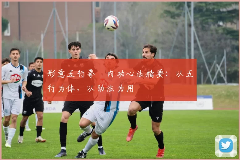 形意五行拳・内功心法精要：以五行为体，以劲法为用