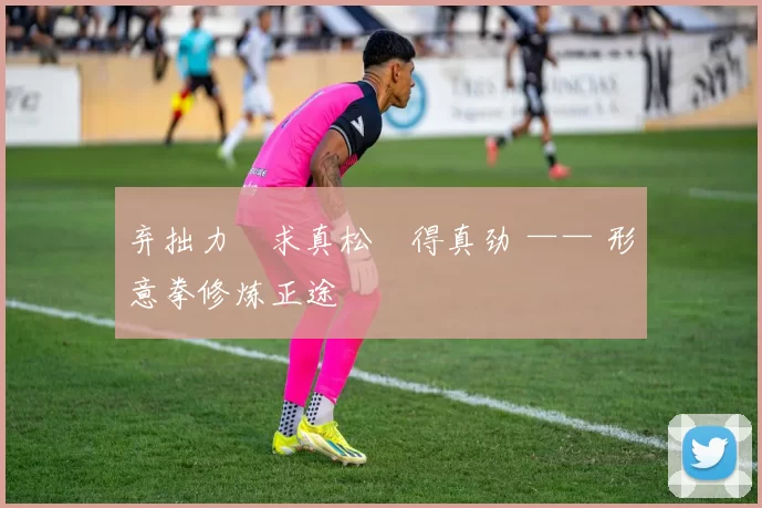 弃拙力・求真松・得真劲 —— 形意拳修炼正途