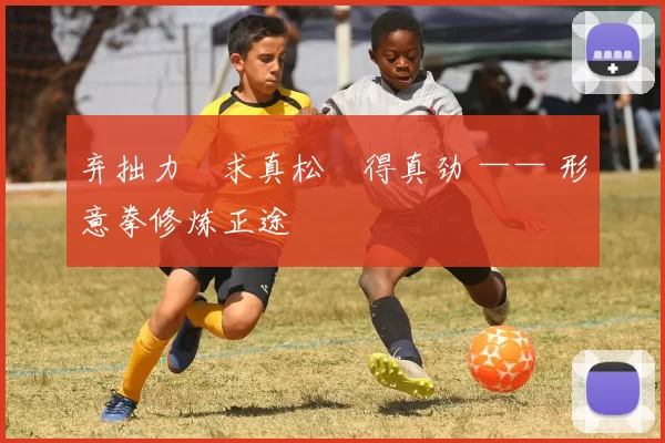 弃拙力・求真松・得真劲 —— 形意拳修炼正途