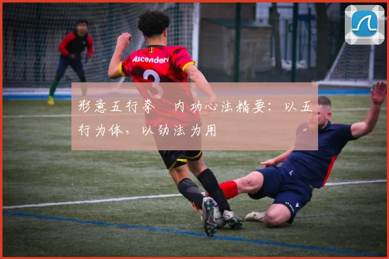 形意五行拳・内功心法精要：以五行为体，以劲法为用