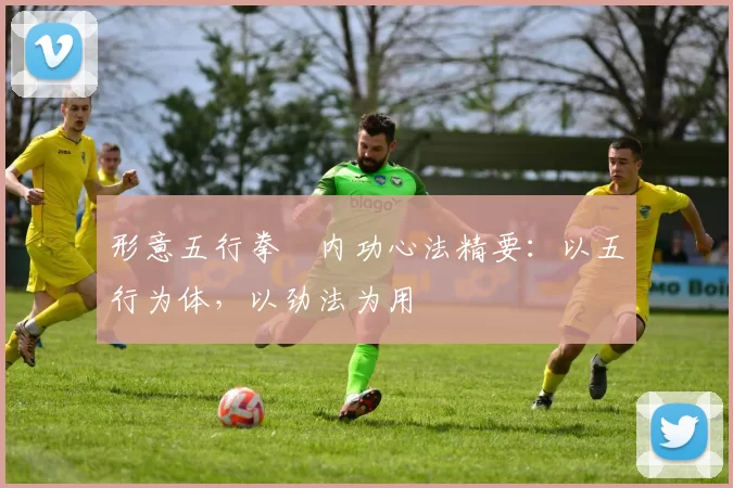 形意五行拳・内功心法精要:以五行为体,以劲法为用