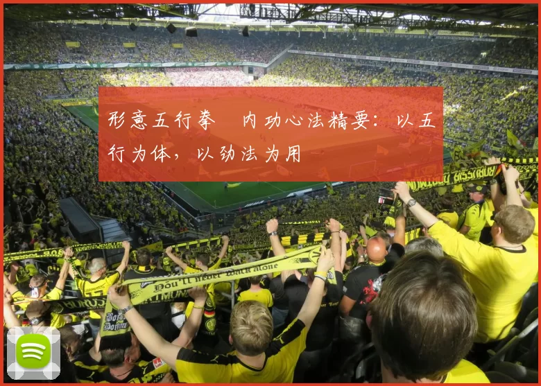 形意五行拳・内功心法精要：以五行为体，以劲法为用