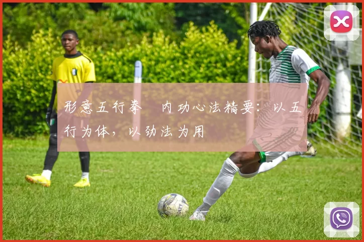 形意五行拳・内功心法精要：以五行为体，以劲法为用