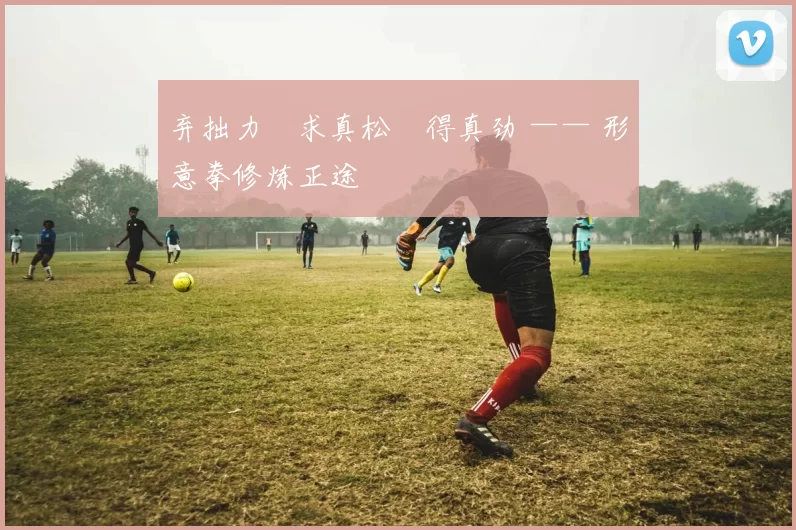 弃拙力・求真松・得真劲 —— 形意拳修炼正途