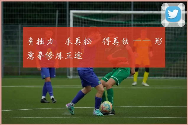 弃拙力・求真松・得真劲 —— 形意拳修炼正途