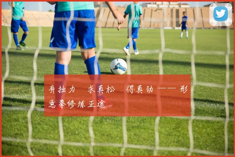 弃拙力・求真松・得真劲 —— 形意拳修炼正途