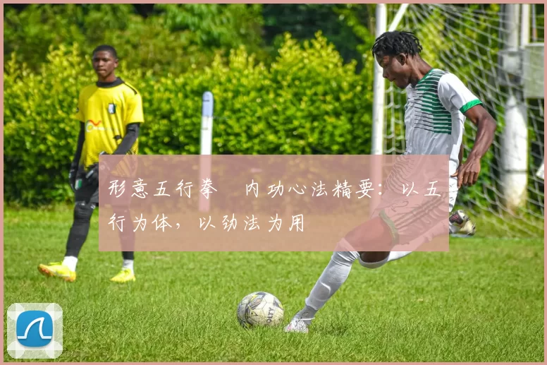 形意五行拳・内功心法精要:以五行为体,以劲法为用
