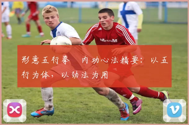 形意五行拳・内功心法精要：以五行为体，以劲法为用