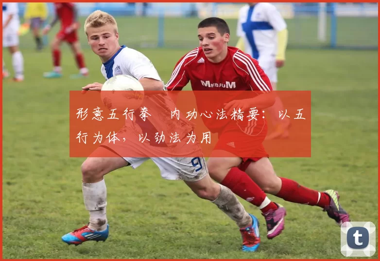 形意五行拳・内功心法精要：以五行为体，以劲法为用