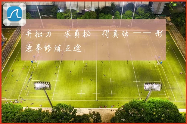 弃拙力・求真松・得真劲 —— 形意拳修炼正途