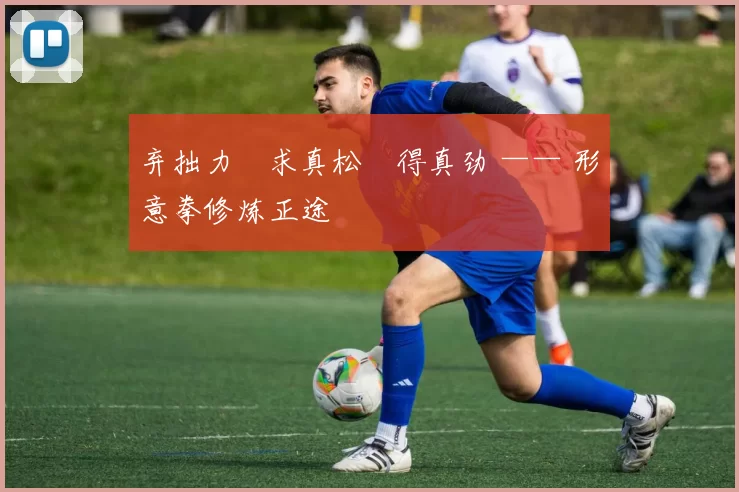 弃拙力・求真松・得真劲 —— 形意拳修炼正途