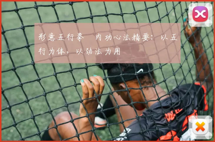 形意五行拳・内功心法精要:以五行为体,以劲法为用