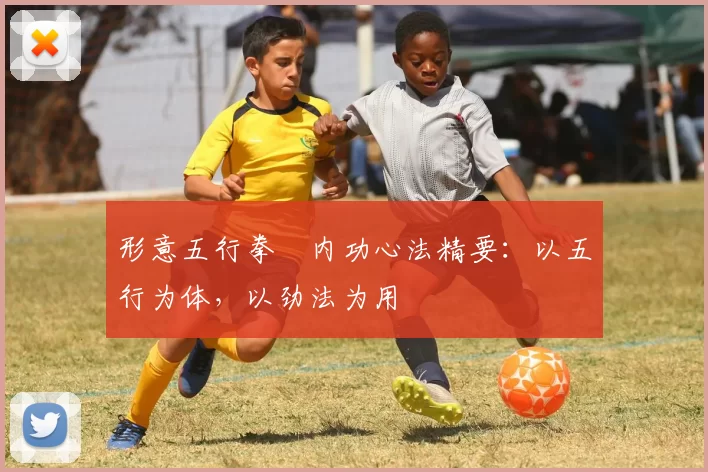 形意五行拳・内功心法精要：以五行为体，以劲法为用