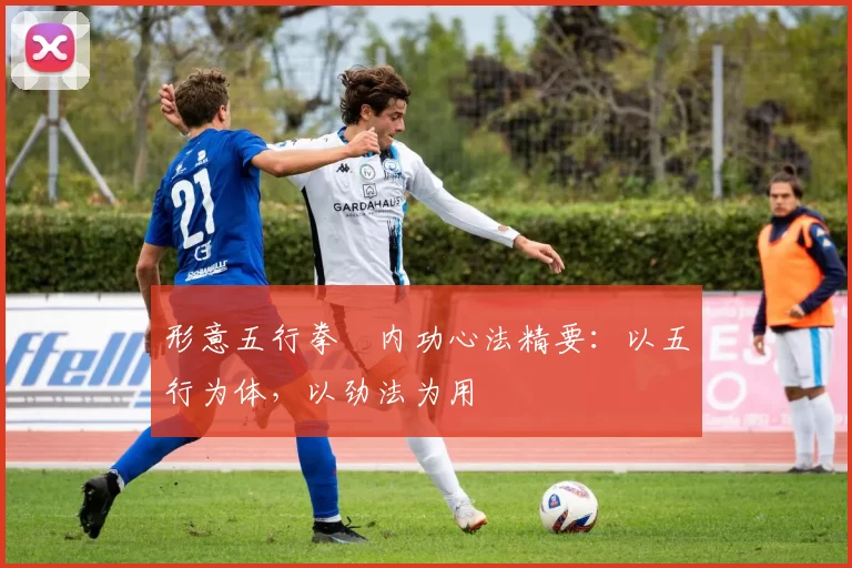 形意五行拳・内功心法精要:以五行为体,以劲法为用