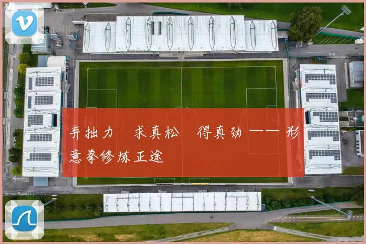 弃拙力・求真松・得真劲 —— 形意拳修炼正途