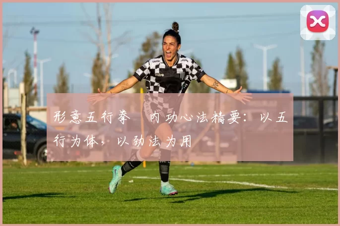 形意五行拳・内功心法精要：以五行为体，以劲法为用