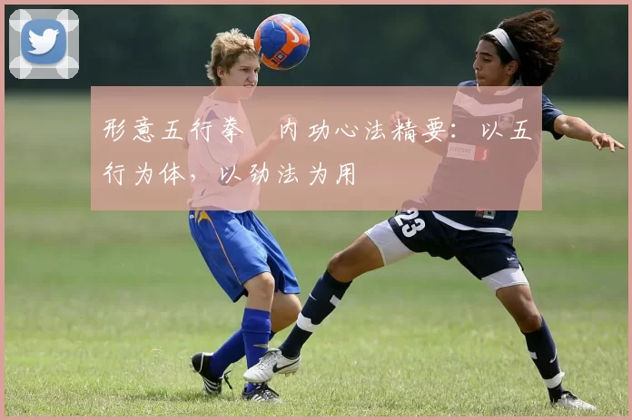形意五行拳・内功心法精要：以五行为体，以劲法为用