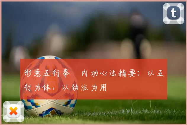 形意五行拳・内功心法精要：以五行为体，以劲法为用