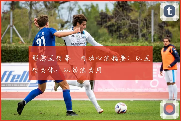 形意五行拳・内功心法精要：以五行为体，以劲法为用