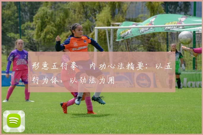 形意五行拳・内功心法精要：以五行为体，以劲法为用