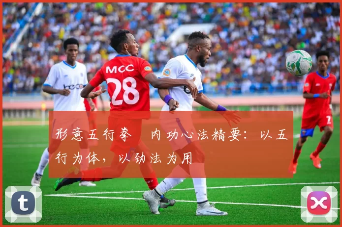 形意五行拳・内功心法精要：以五行为体，以劲法为用