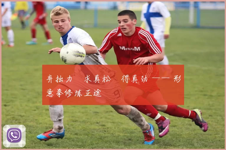 弃拙力・求真松・得真劲 —— 形意拳修炼正途