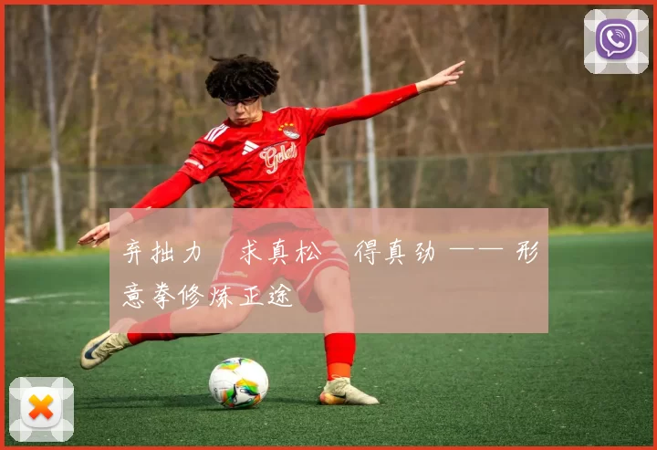 弃拙力・求真松・得真劲 —— 形意拳修炼正途