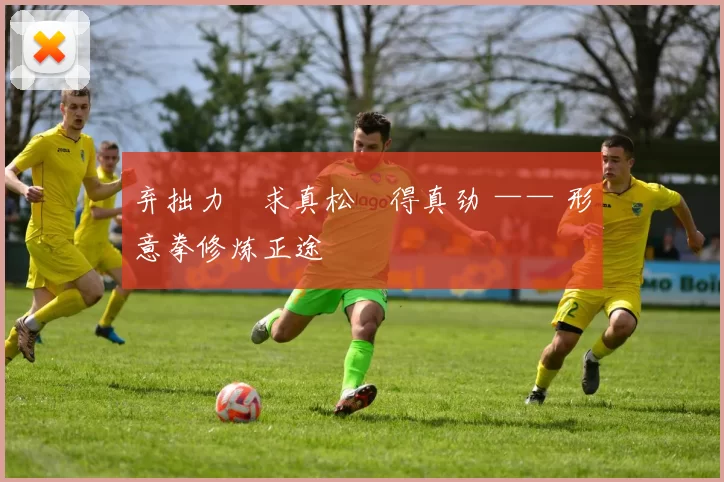 弃拙力・求真松・得真劲 —— 形意拳修炼正途