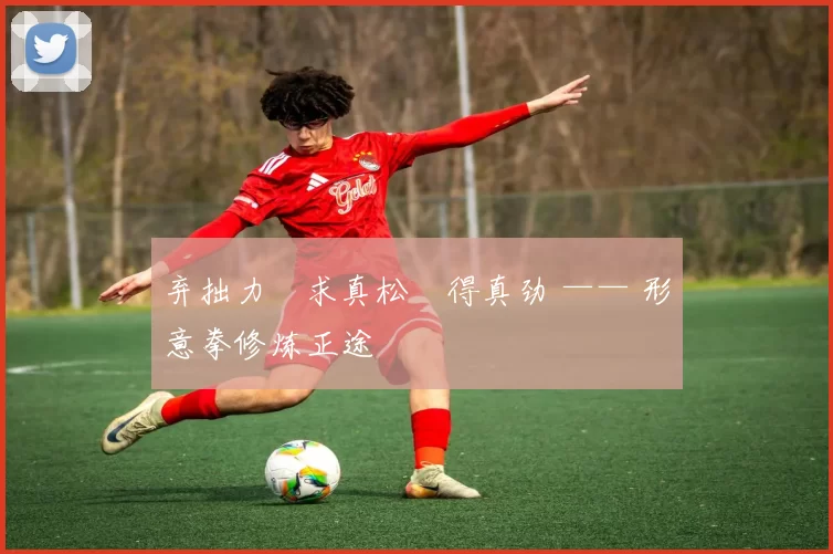 弃拙力・求真松・得真劲 —— 形意拳修炼正途