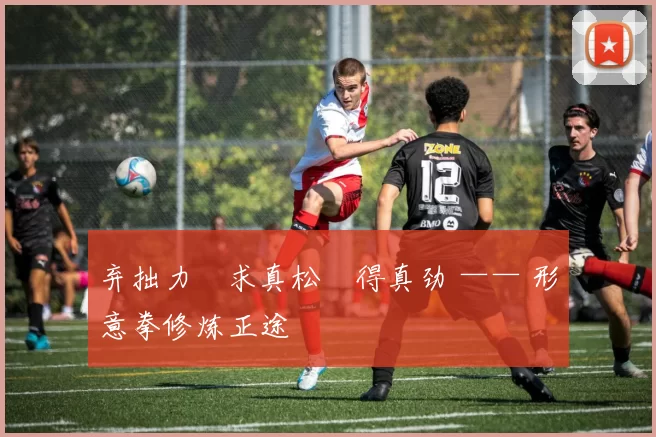 弃拙力・求真松・得真劲 —— 形意拳修炼正途
