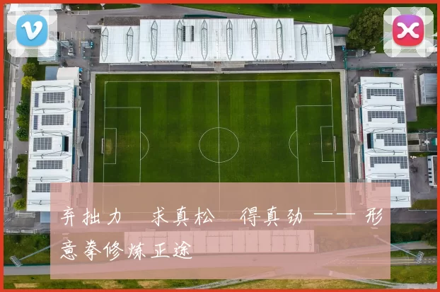 弃拙力・求真松・得真劲 —— 形意拳修炼正途