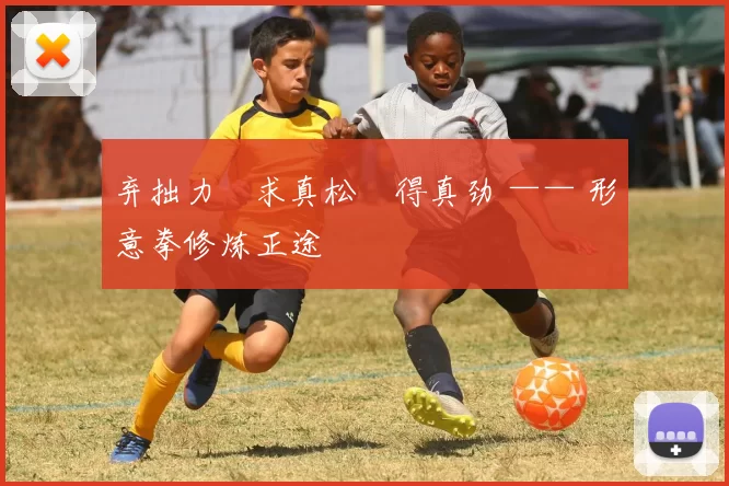 弃拙力・求真松・得真劲 —— 形意拳修炼正途