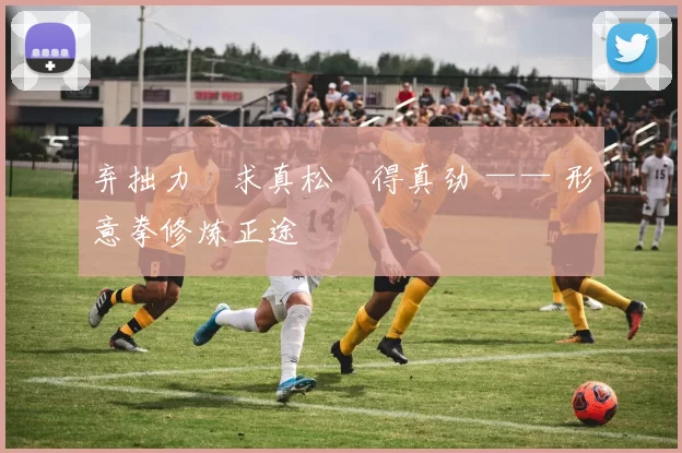 弃拙力・求真松・得真劲 —— 形意拳修炼正途