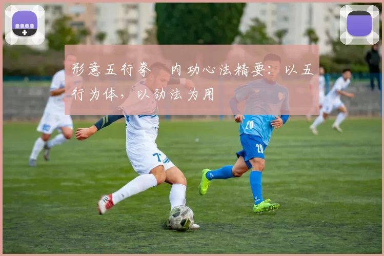 形意五行拳・内功心法精要:以五行为体,以劲法为用