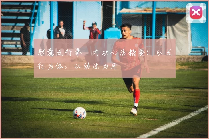 形意五行拳・内功心法精要：以五行为体，以劲法为用