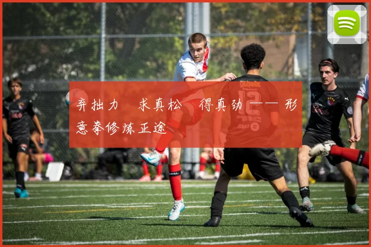 弃拙力・求真松・得真劲 —— 形意拳修炼正途