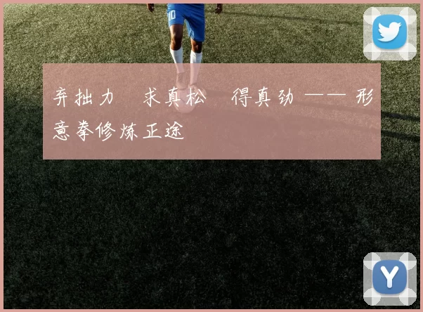 弃拙力・求真松・得真劲 —— 形意拳修炼正途