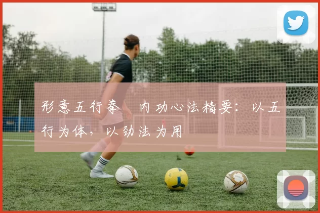 形意五行拳・内功心法精要:以五行为体,以劲法为用