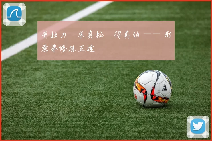 弃拙力・求真松・得真劲 —— 形意拳修炼正途