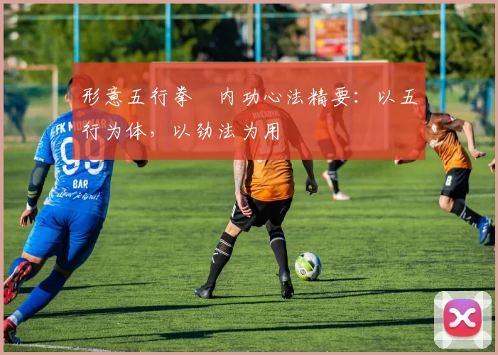 形意五行拳・内功心法精要:以五行为体,以劲法为用