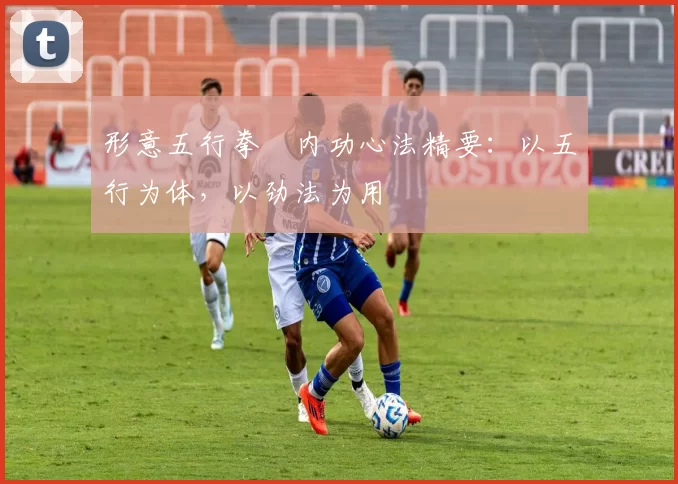 形意五行拳・内功心法精要：以五行为体，以劲法为用