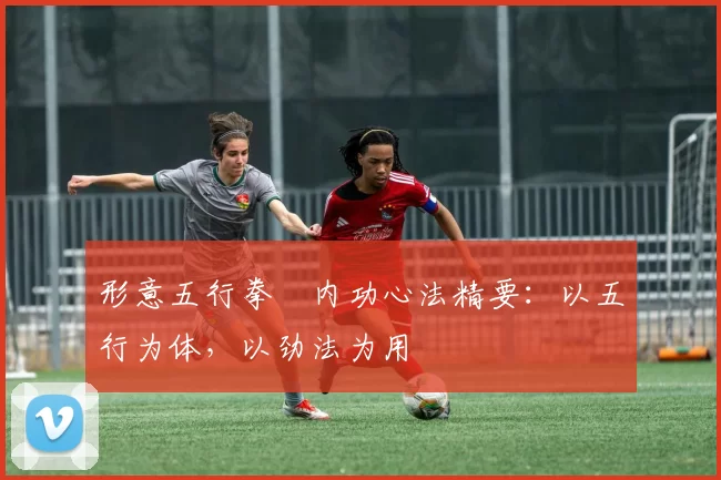 形意五行拳・内功心法精要：以五行为体，以劲法为用